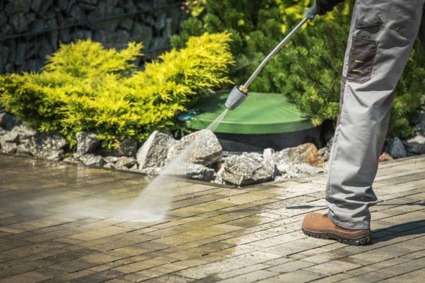 Best Winterizing Services  in Palo Cedro, CA