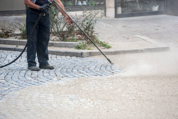 Best Gutter Cleaning  in Palo Cedro, CA