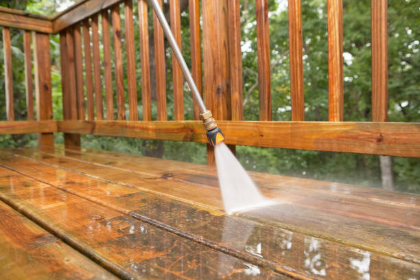 Best Driveway Pressure Washing  in Palo Cedro, CA